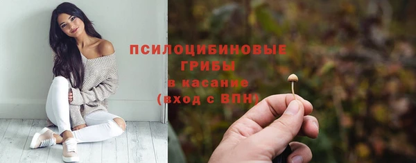mdpv Волоколамск
