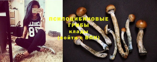 ГАЛЛЮЦИНОГЕННЫЕ ГРИБЫ Володарск