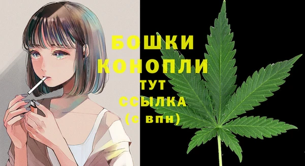 mdpv Волоколамск