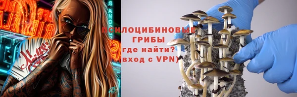 ГАЛЛЮЦИНОГЕННЫЕ ГРИБЫ Володарск