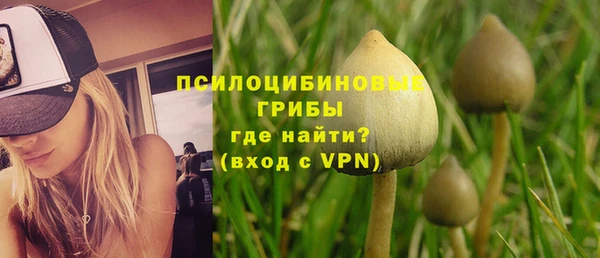 ГАЛЛЮЦИНОГЕННЫЕ ГРИБЫ Володарск