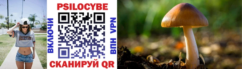 Купить закладки  Никольск  Псилоцибиновые грибы Psilocybine cubensis 
